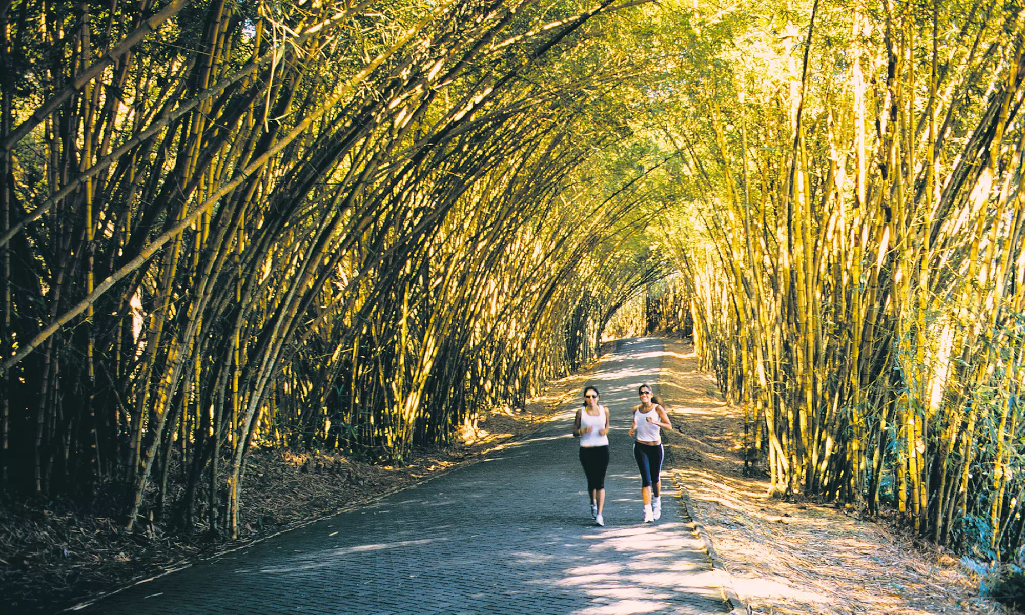 ✈ 6-Night Costa Rica Trip w/Air, Car, Tours from Travel by Jen