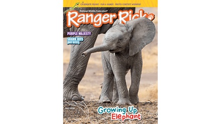 One-Year Subscription - Ranger Rick