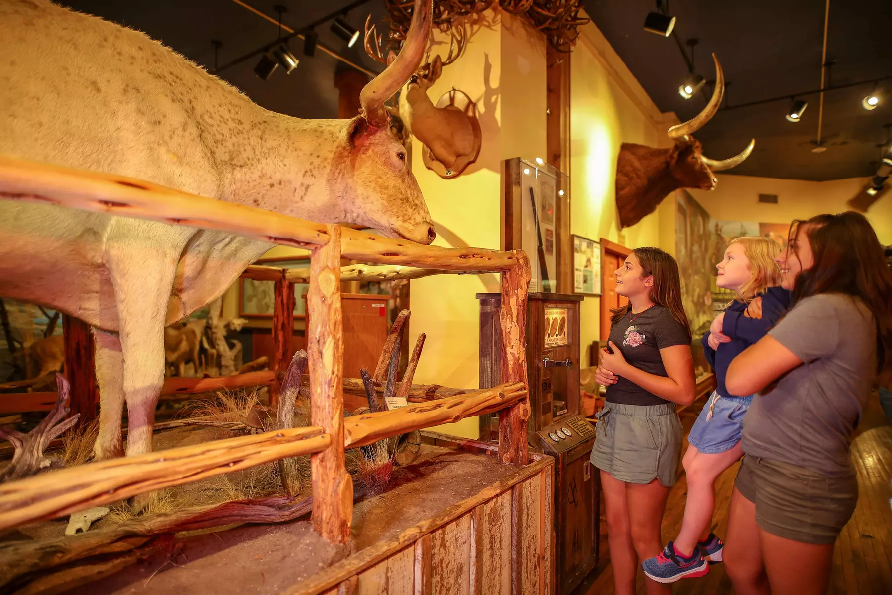 Buckhorn Museum & Texas Ranger Museum Admission in San Antonio