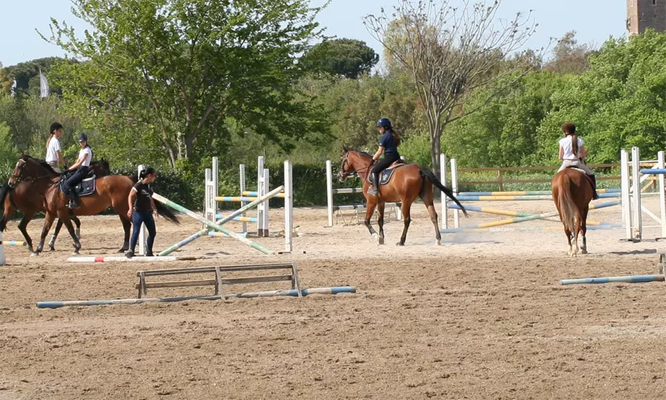 4 lezioni equitazione