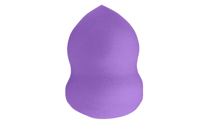 Image 9: Blending Sponge