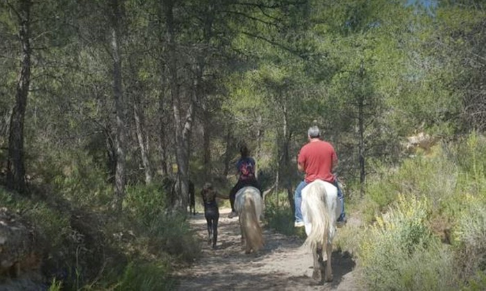 54% de dto. en Equitación - Actividad recreativa en MAIGMO