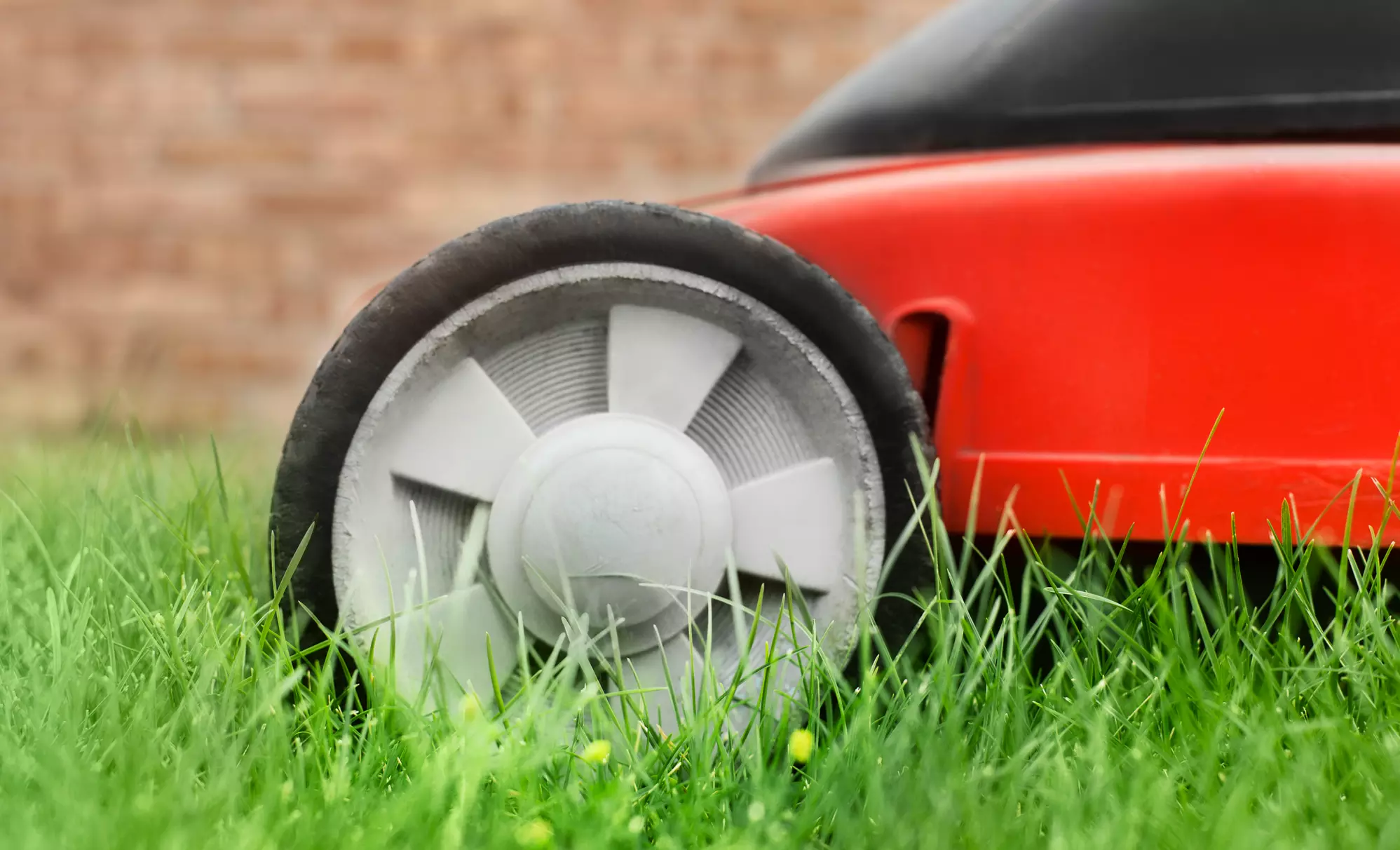 $21 for $40 Worth of Products — Front & Back Lawn Service Inc.  - Primary Image