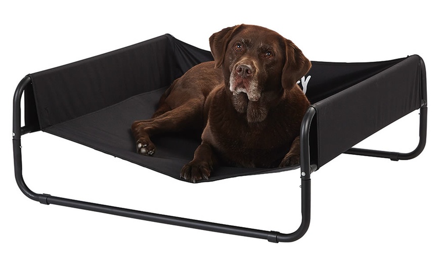 Image 6: Bunty Elevated Sided Dog Bed