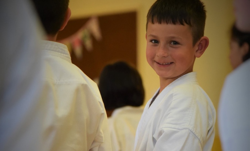 Image 3: Three-Month Karate Trainings