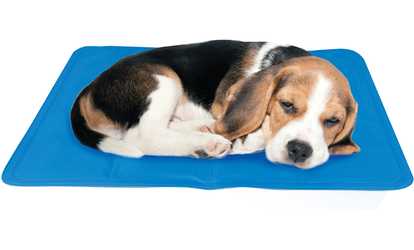 Penn-Plax Cooling Mat for Dogs