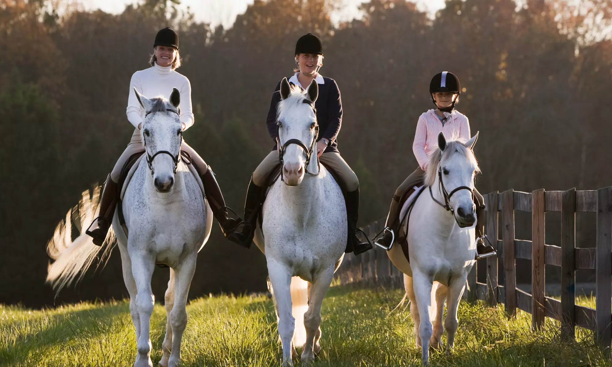 Birthday Party for Up to 15 or Two 30-Minute Riding Lessons at Saddle Ridge Riding Center (Up to 52% Off) - Primary Image