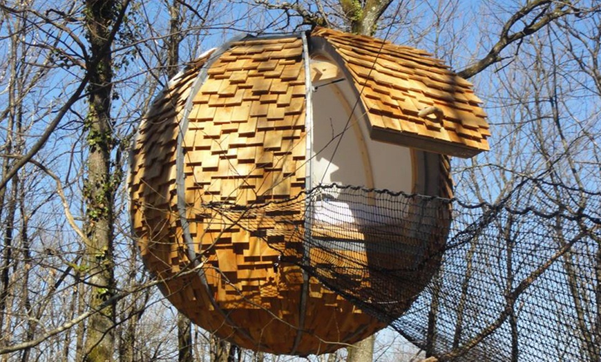 Image 6: Périgord Vert : 1 à 3 nuits en cabane/Love' Nid avec petit-déjeuner 