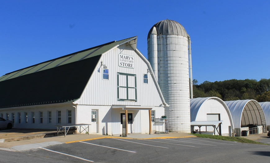 Image 4: Join Farm Fun with Admission for One, Two, or Four People 