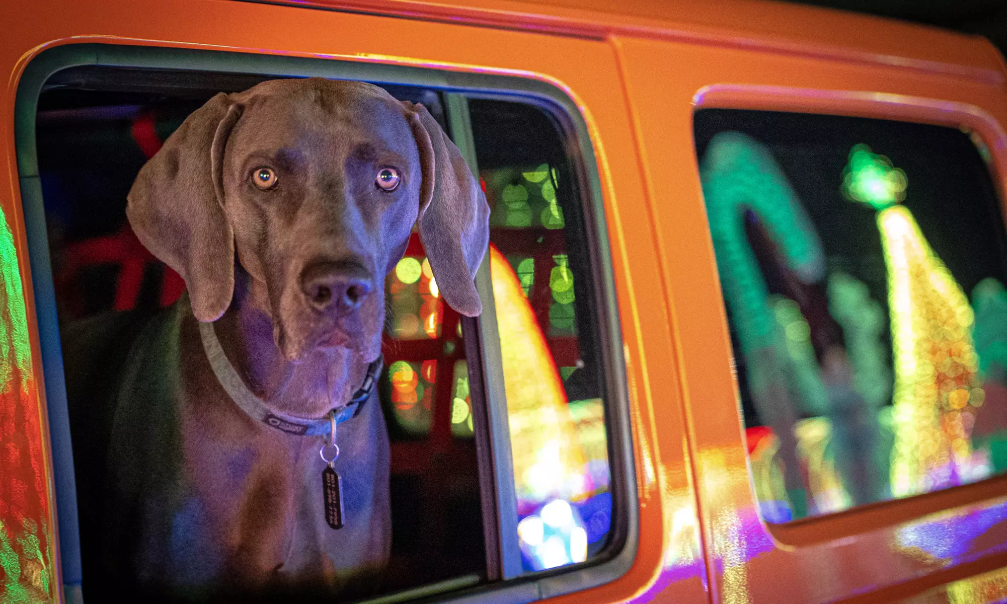 Drive-Through Christmas Light Show – Utah County Art Dye Park