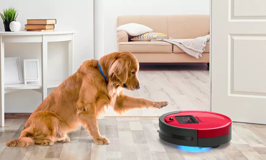 Orders Bobsweep Standard Robot Vacuum