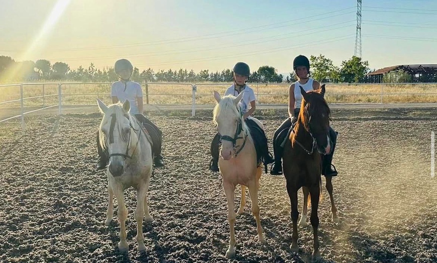 Image 3: Paseo a caballo de 1 hora por el Parque del Guadarrama con refresco