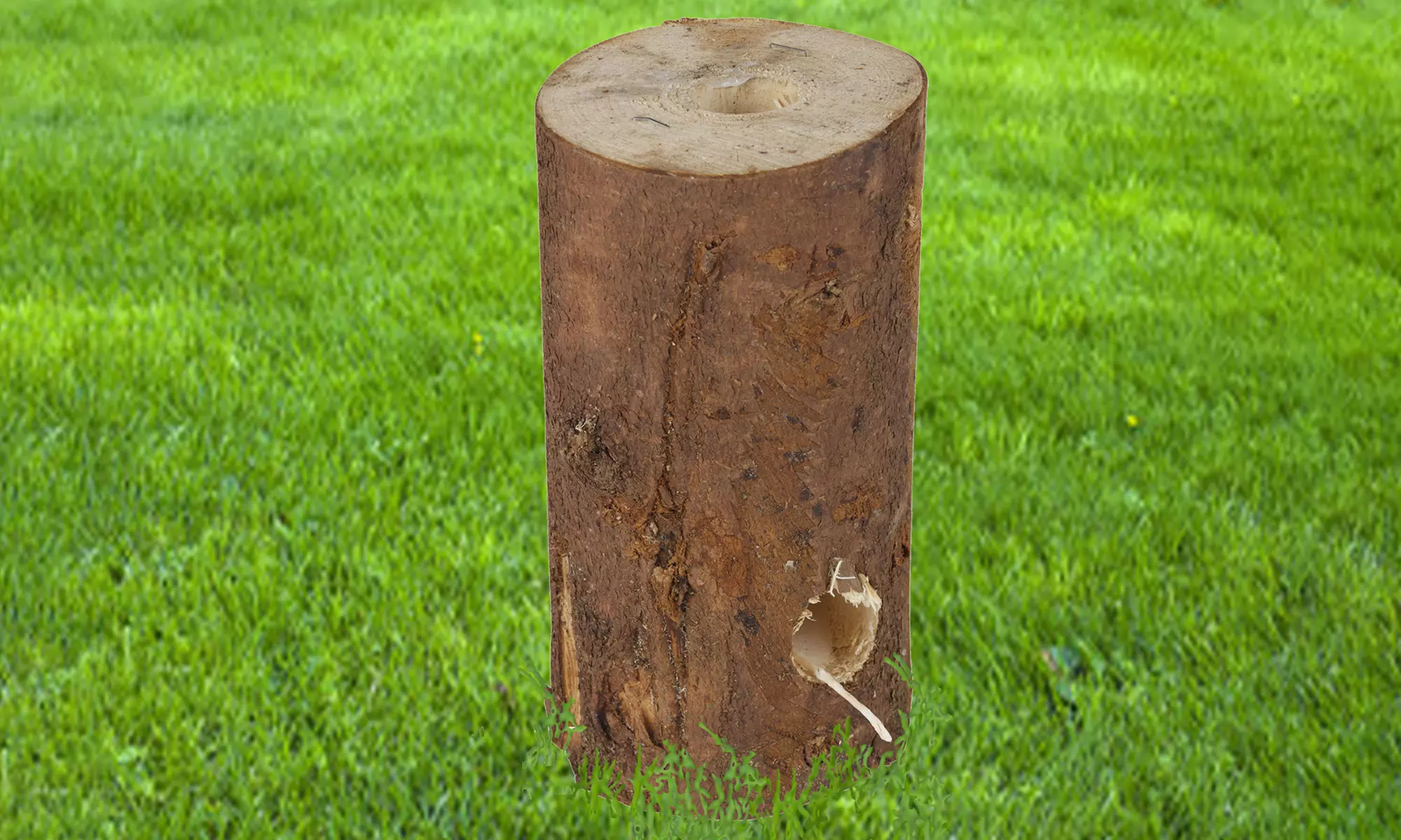 One, Two or Four Eco Wooden Fire Logs - Primary Image