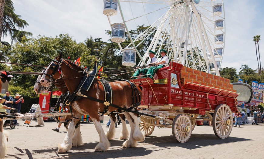 Image 15: Single Entry Ticket for 1 Adult/Child to the Best County Fair 