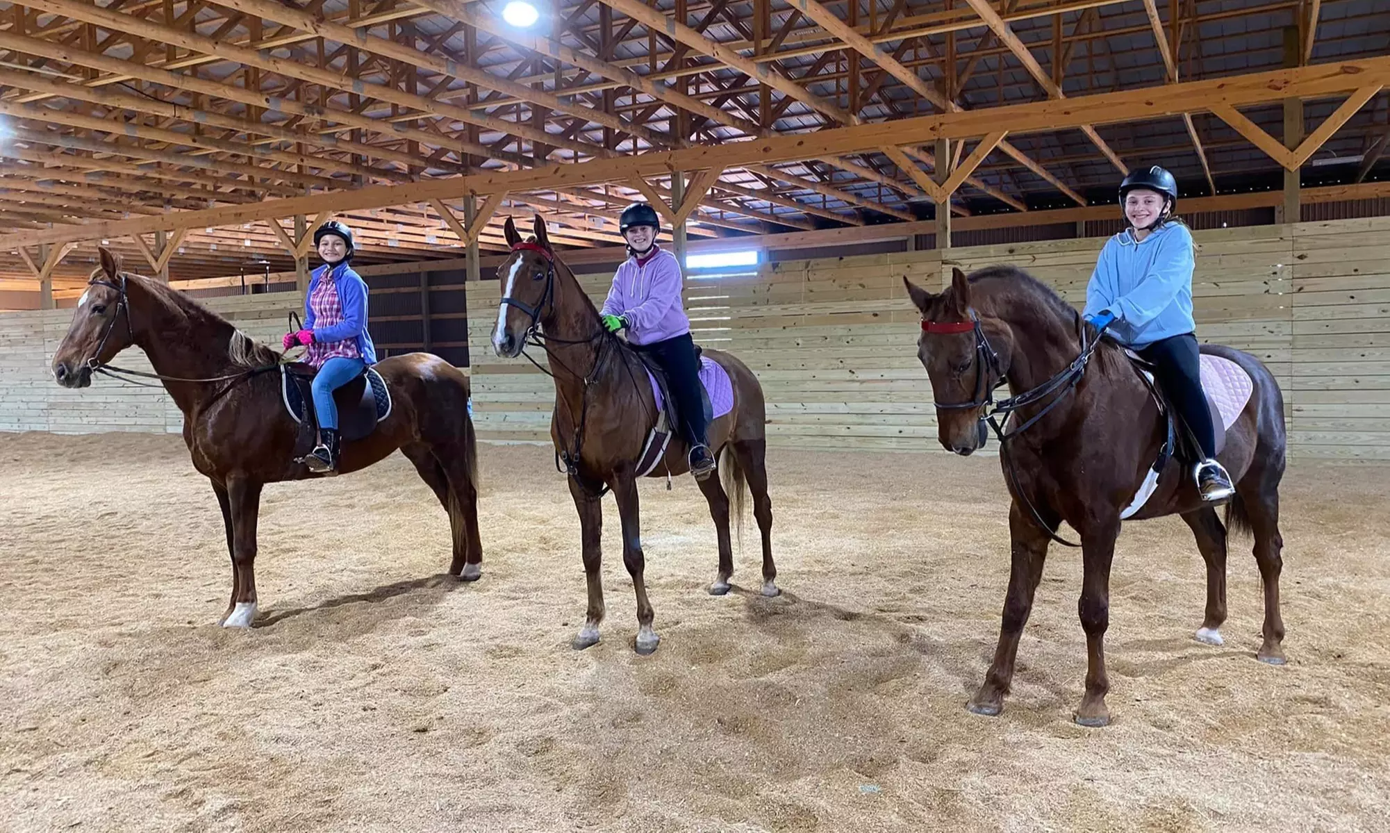 30-Minute Private Horseback Riding Lessons at Four Oaks Farm & Stables (Up to 46% Off) - Primary Image