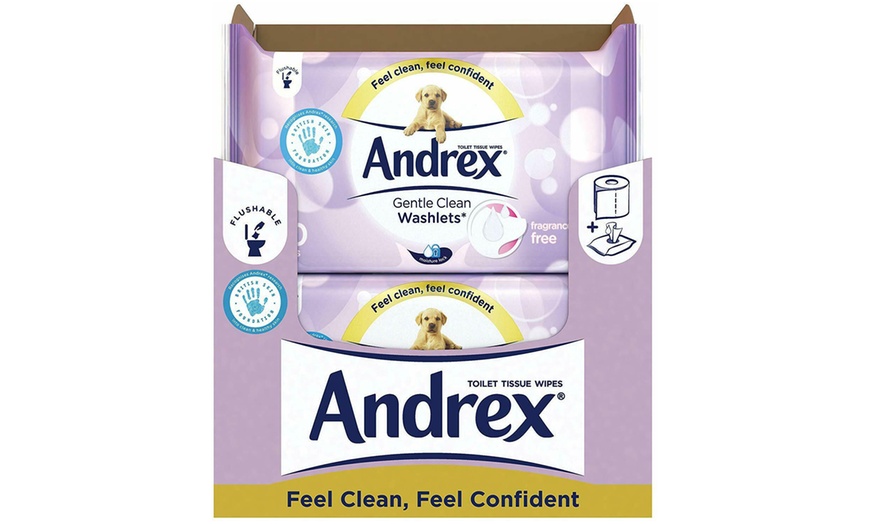 Image 4: Andrex Toilet Tissue Wipes