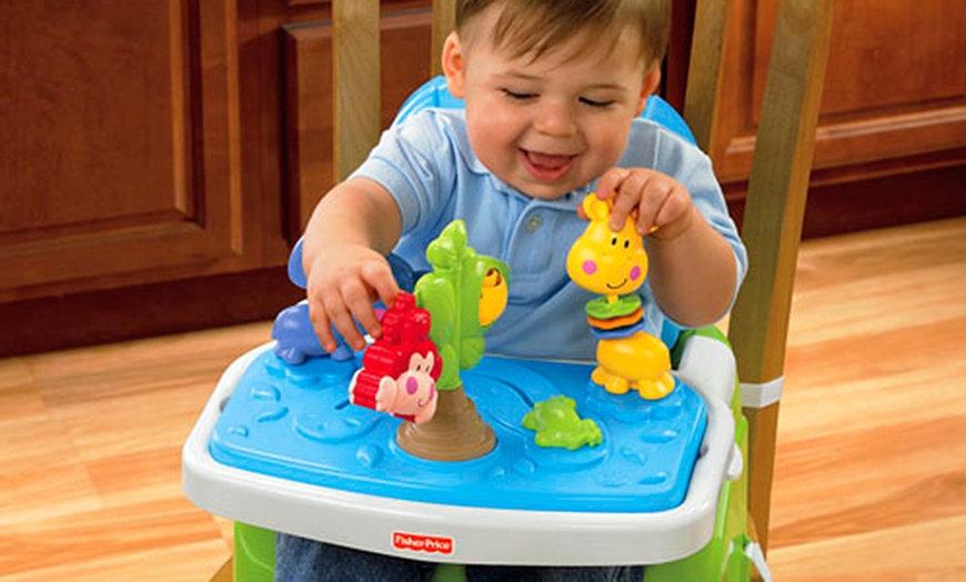 Image 4: Fisher Price Baby Booster Seat