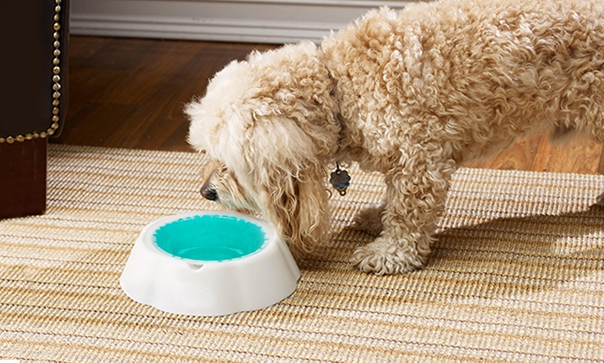 Image 1: Pet Drinking Bowls