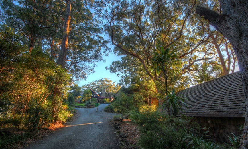 Image 9: Gold Coast Lamington National Park: 2N Rainforest Escape