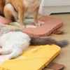 Image 4: Breathable Slide and Scratch-Resistant Cooling Mat for Cat or Dog 