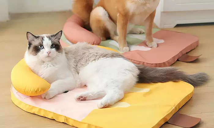 Breathable Slide and Scratch-Resistant Cooling Mat for Cat or Dog