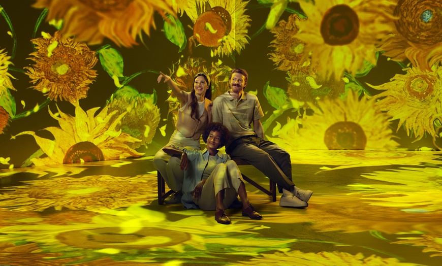 Image 6: Ticket für Van Gogh Ausstellung Hannover, einlösbar vom 12.11.-23.12.