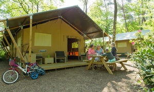 Veluwe: 3 tot 7 nachten glamping of kamperen