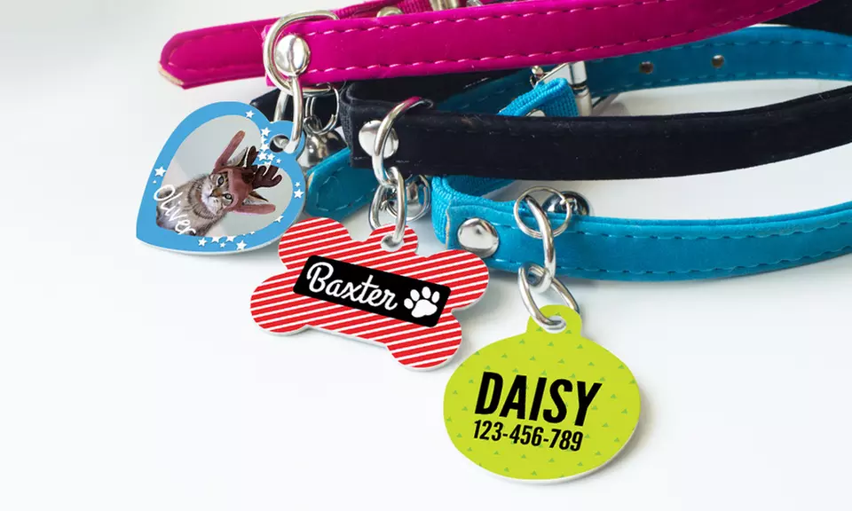 One, Two, or Three Personalized Pet Tags from Photobook America (Up to 69% Off) - Primary Image