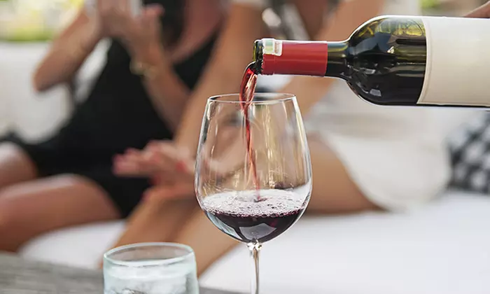 Full-Day Winery Bus Tour with Meal and Souvenirs for One, Two, or Four from Texas Winos (Up to 66% Off)  - Primary Image