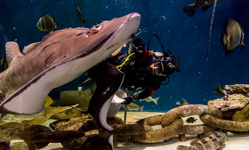 Image 3: Sharjah Aquarium and Museum Entry