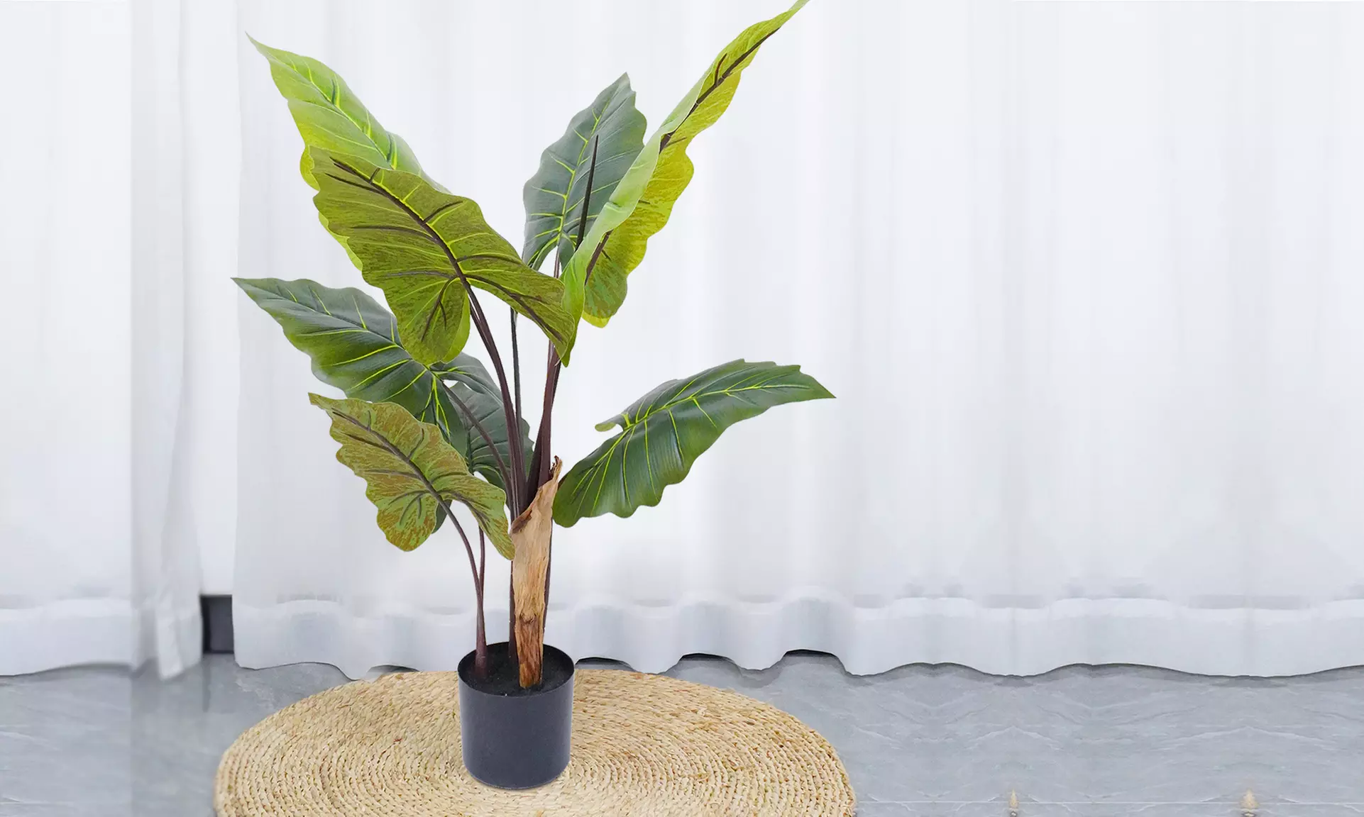 Collezione di piante finte da interno