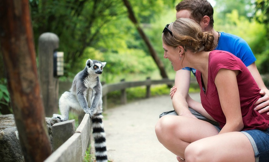 Image 2: Tiere hautnah erleben: Eintritt in den Allwetterzoo für Groß / Klein