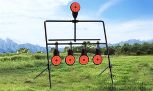 Self-Resetting Spinning Targets