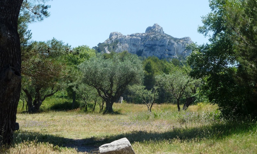 Image 12: BOUCHES-DU-RHONE | Saint-Rémy-de-Provence - Mas des Carassins 3*