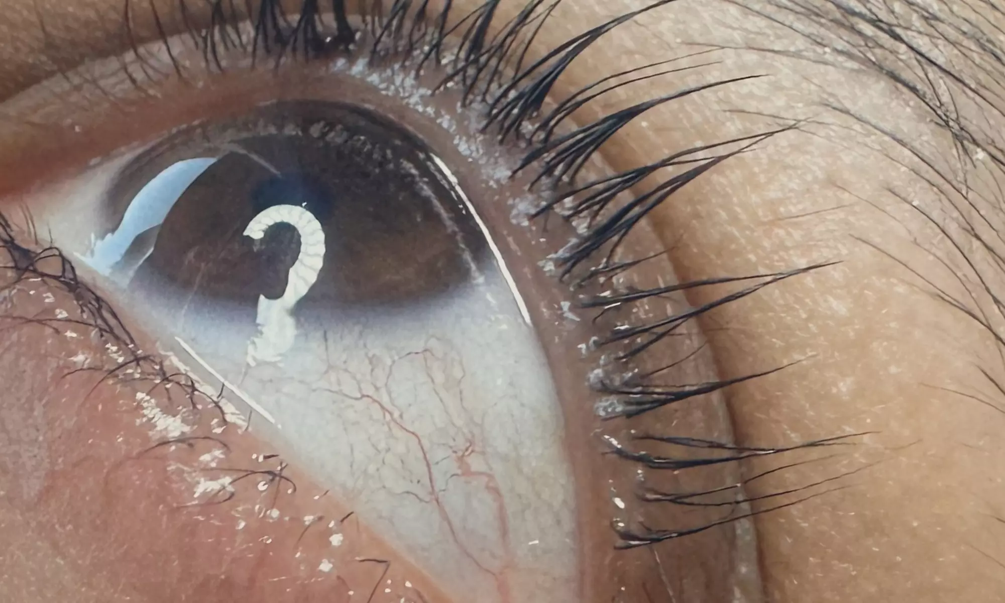 Lash Lift w/ Tint, Lash Extension Service, Eyebrow Lamination, & More