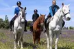Paseo a caballo de 1 hora por el Parque del Guadarrama con refresco para 1, 2 o 4 personas, ahorra hasta un 38% - Second Medium