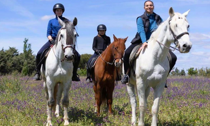 Image 5: Paseo a caballo de 1 hora por el Parque del Guadarrama con refresco