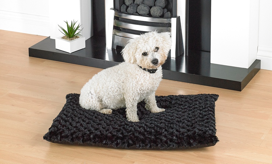 Image 1: Dog Bed with Zipped Cover