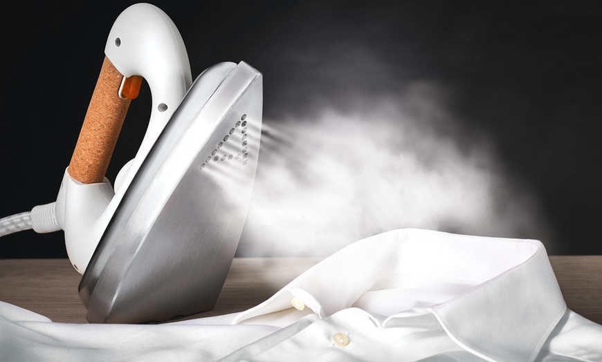 Image 8: Polti Steam Generator Iron