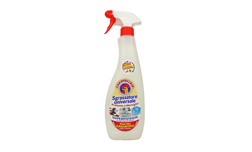 Image 5: 12 confezioni di Chanteclair sgrassatore da 600 ml