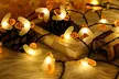 Honey Bee Solar 30-LED String Lights with Pointed Ground Stake (1- or 2-Pack) - Second Medium