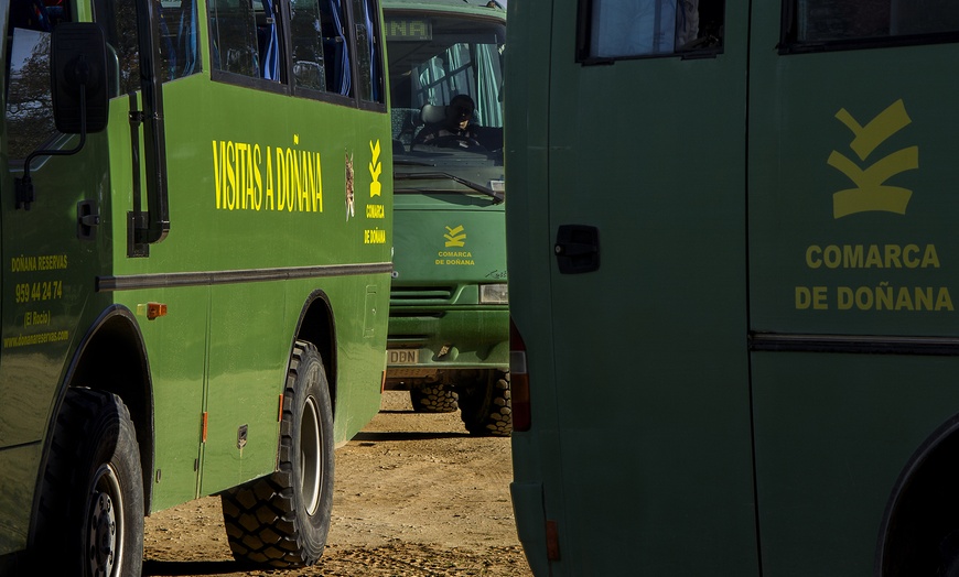 Image 10: Visita guiada al Parque Nacional de Doñana en 4x4 para adulto o niño