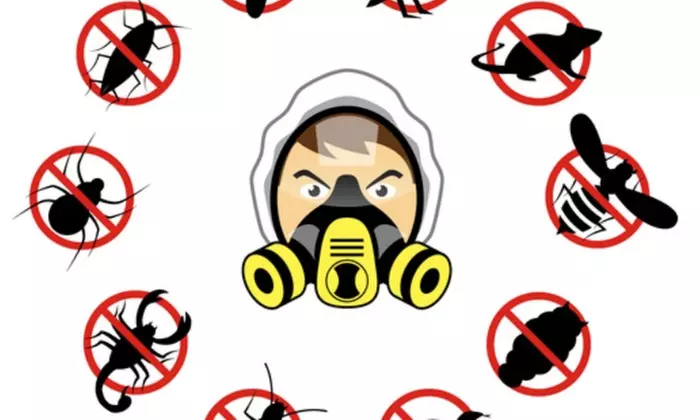 $50 Off $125 Worth of Pest Control Service - General - Primary Image