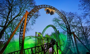 Vakantiepark Duinrell: Duingalow (4/6 pers) + attractiepark en Tikibad