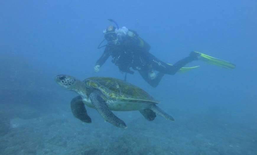 Image 2: Curso de buceo