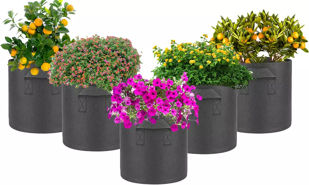 Set di 5 sacchetti per coltivare ortaggi, con spedizione gratuita - Primary Image