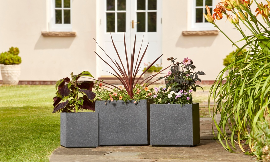 Image 7: Textured Fibre Clay Planters Set