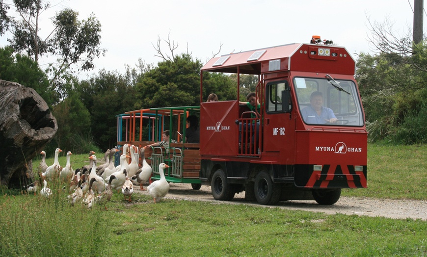 Image 1: Pat Animals! Farm Entry + Train Ride