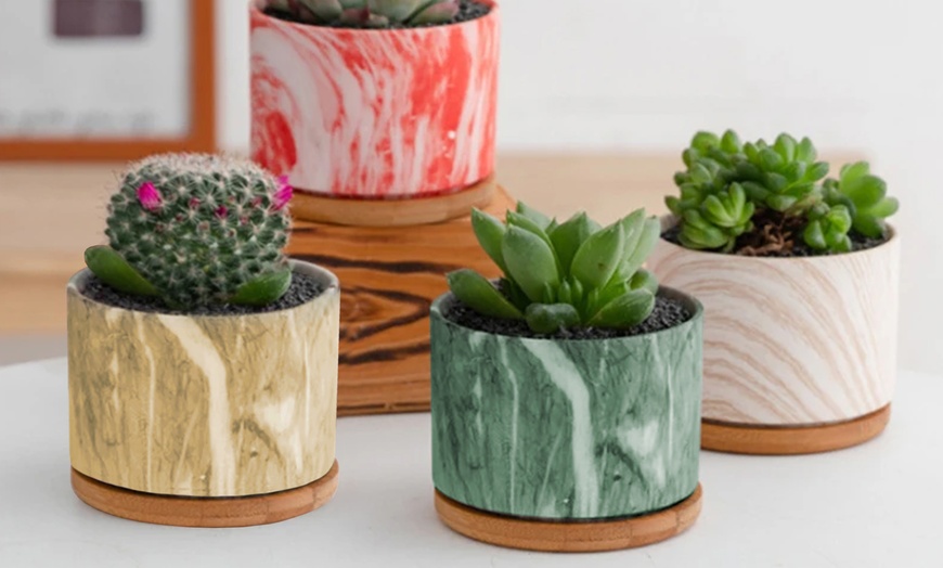 Image 24: Lot de 3 pots de fleurs en céramique pour succulentes