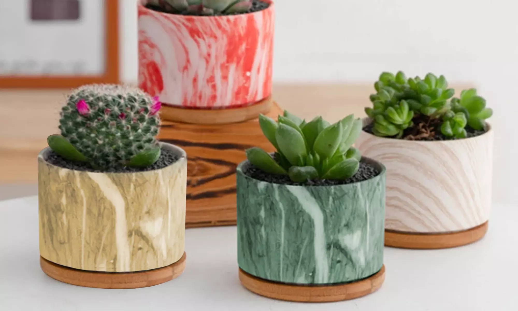 Lot de 3 pots de fleurs en céramique pour succulentes